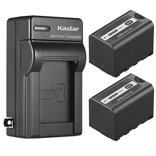Kastar 2-Pack Battery and AC Wall Charger Replacement for Panasonic Lumix BGH1 Cinema 4K Box Camera, AG-CX10, AG-CX350, AG-DVX200, AG-DVX200PJ