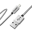 Energizer Metallic Energizer iPhone Charger, Silver (4 Feet)