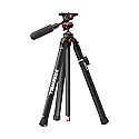 Freewell Carbon Fiber Travel Tripod 59.1" Lightweight 1.98lbs Photo/Video 360°Ball Head (Max Load 5kg/11 lbs), Monopod, Quick-Release Plate, for DSLR