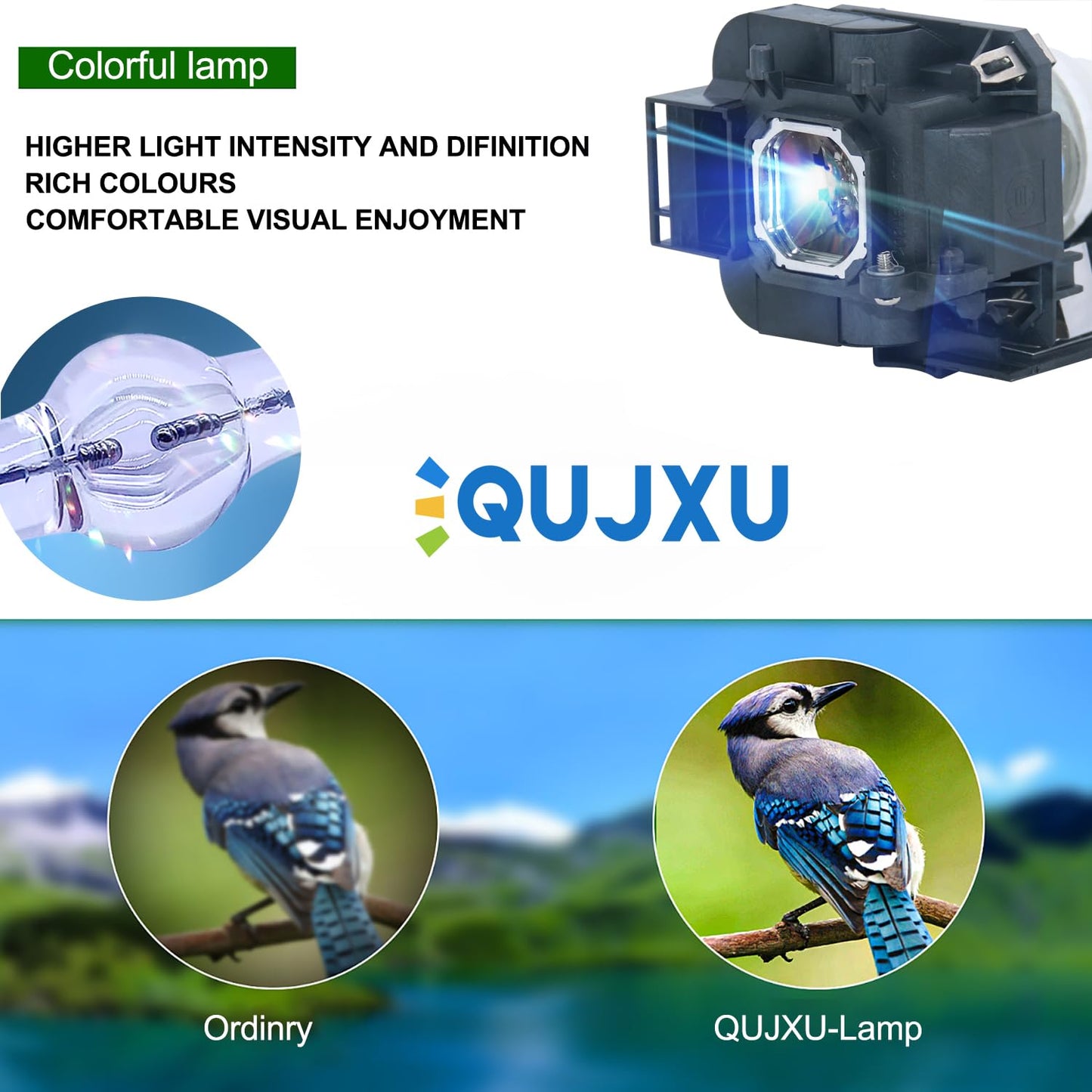 QUJXU NP23LP Projector Lamp with Housing for NEC NP-P401W NP-P501X NP-P451X NP-P451W Quality Lamp Replacement Projector Lamp