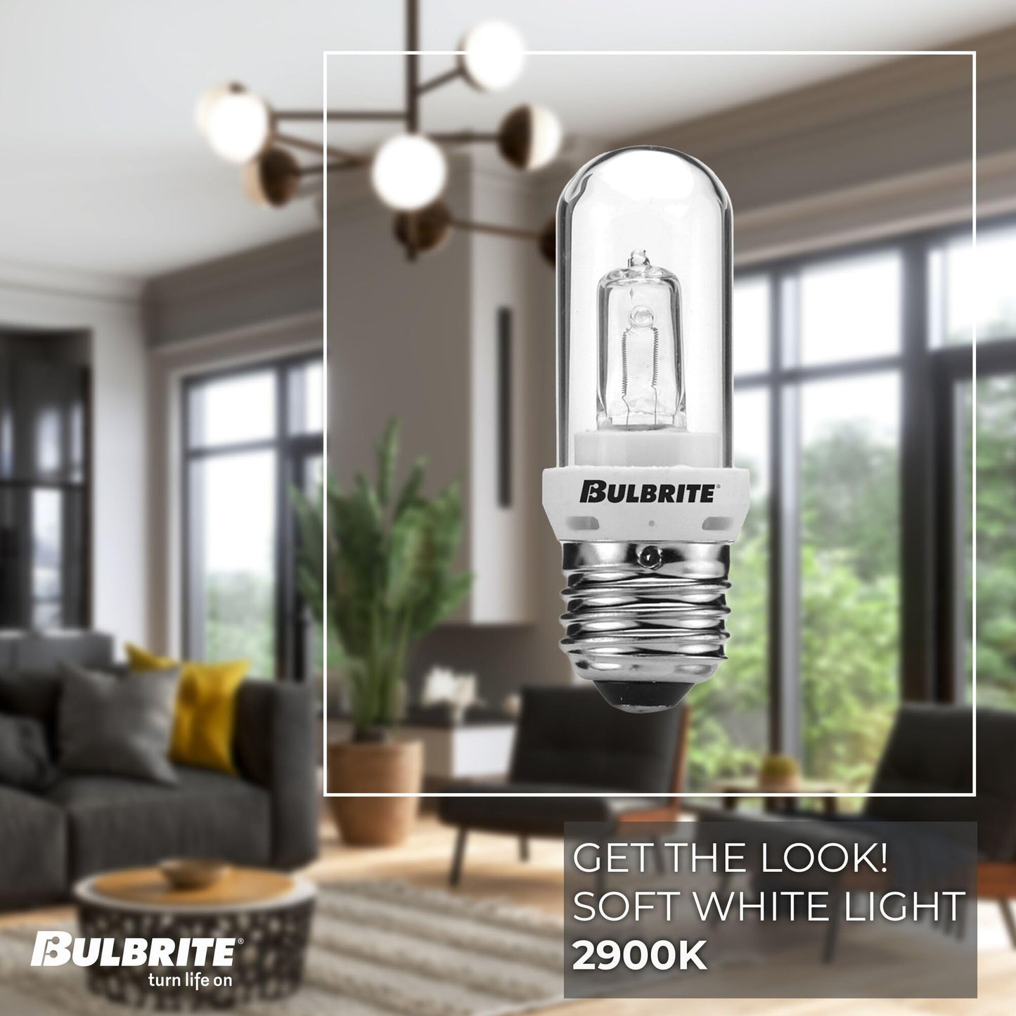 Bulbrite Halogen T8 Q100CL/EDT 120-Volt Halogen JDD Type Tubular Medium E26 Bulb, 100-Watt,Clear
