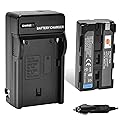 DSTE NP-F550 Battery and DC01 Travel and Car Charger Adapter Compatible with Sony CCD-RV100 SC5 TR1 TR917 Camera CN-160 CN304 YN 300 VL600 LED Video