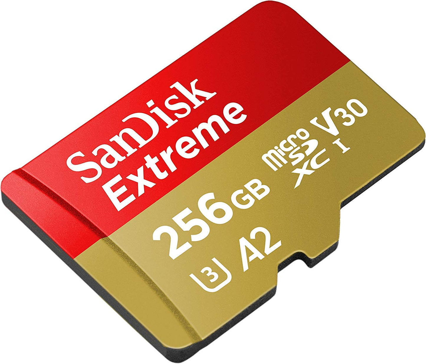 SanDisk Extreme MicroSDXC U3 V30 A2 256GB Memory Card Works with GoPro Action Camera Hero 12 Black (SDSQXAV-256G-GN6MN) Bundle with (1) Everything But