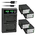 Kastar 4-Pack Battery NP-FV100 and LTD2 USB Charger Compatible with Sony NEX-VG20 NEX-VG30 NEX-VG900 HXR-MC50 HXR-MC88 HXR-NX30 HXR-NX70 HXR-NX80