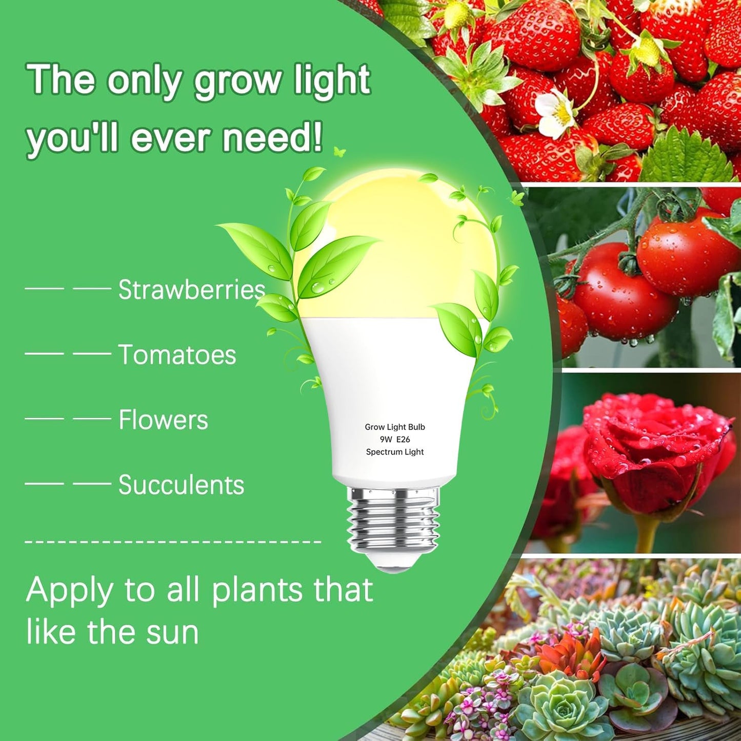 Wiyifada 6 Pack Full Spectrum Grow Light Bulbs,A19 Grow Lights for Indoor Plants,Dimmable E26 9W Grow Bulb Replace up to 100W,Plant Lights for Indoor