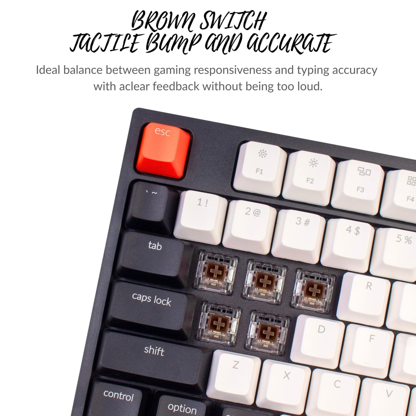 Keychron C1 Wired Mechanical Keyboard TKL, RGB Backlit with Double-Shot ABS Keycaps, 87 Keys Hot-Swappable Pre-lubed Tactile Switch Compatible