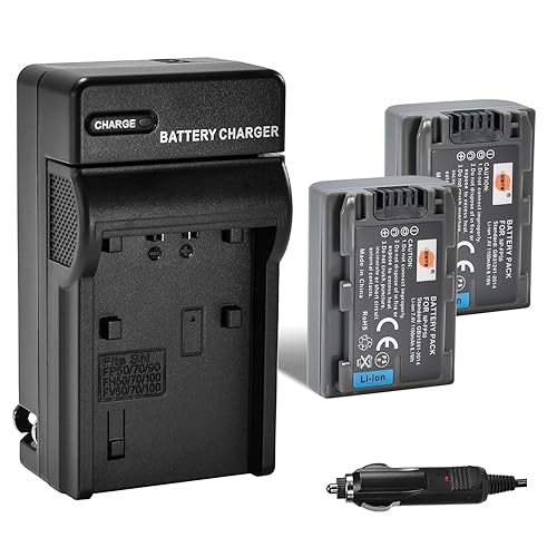 DSTE 2-Pack NP-FP50 Battery and Travel Charger Kit Compatible with Sony DCR-HC30 40 43E 65 85 94E 96 DCR-SR30 60E 70E 80E 100 Camera NP-FP30 NP-FP60