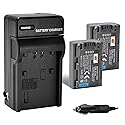 DSTE 2-Pack NP-FP50 Battery and Travel Charger Kit Compatible with Sony DCR-HC30 40 43E 65 85 94E 96 DCR-SR30 60E 70E 80E 100 Camera NP-FP30 NP-FP60