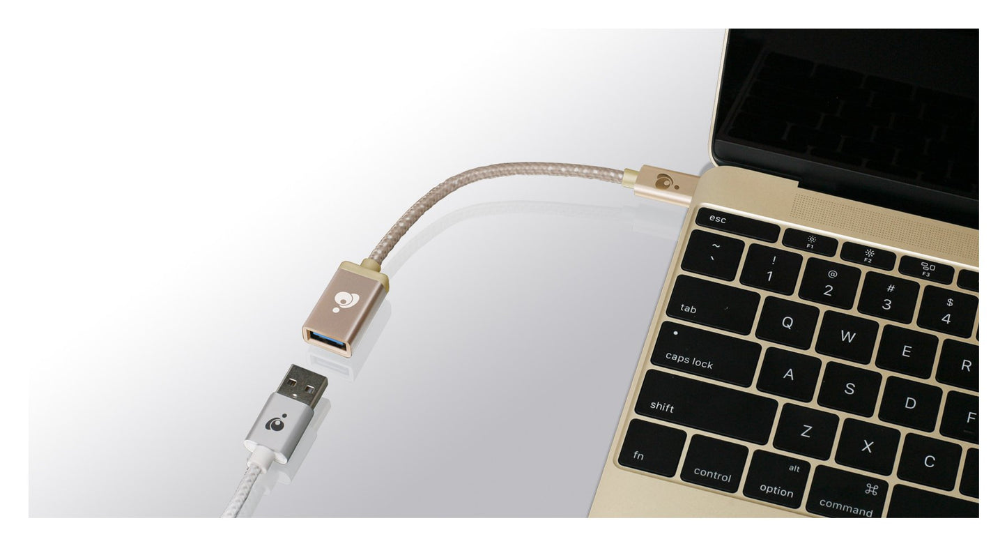 IOGEAR Charge & Sync USB-C to USB Type-A Adapter, Gold, G2LU3CAF10-GLD