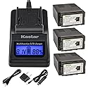 Kastar Fast Charger + Battery (2-Pack) Replacement for Panasonic VW-VBG6 VWVBG6 VBG6 Li-Ion Camcorder Battery and SDR-H60S, SDR-H60P, SDR-H68GK