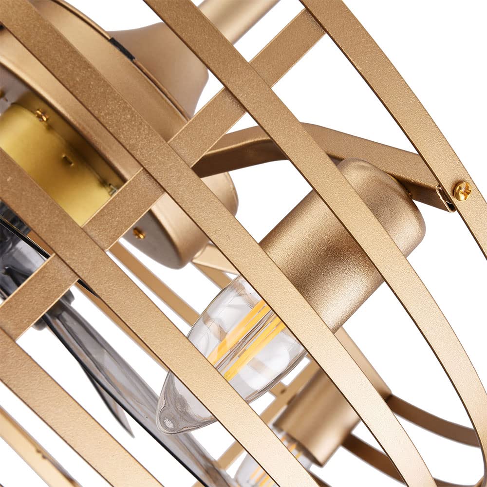 NOLANTISI 20 Inch Caged Ceiling Fan with 3 Speeds Adjustable Light Remote Control, Gold Modern Ceiling Fan Light with 5 Enclosed Blades, Quiet Ceiling
