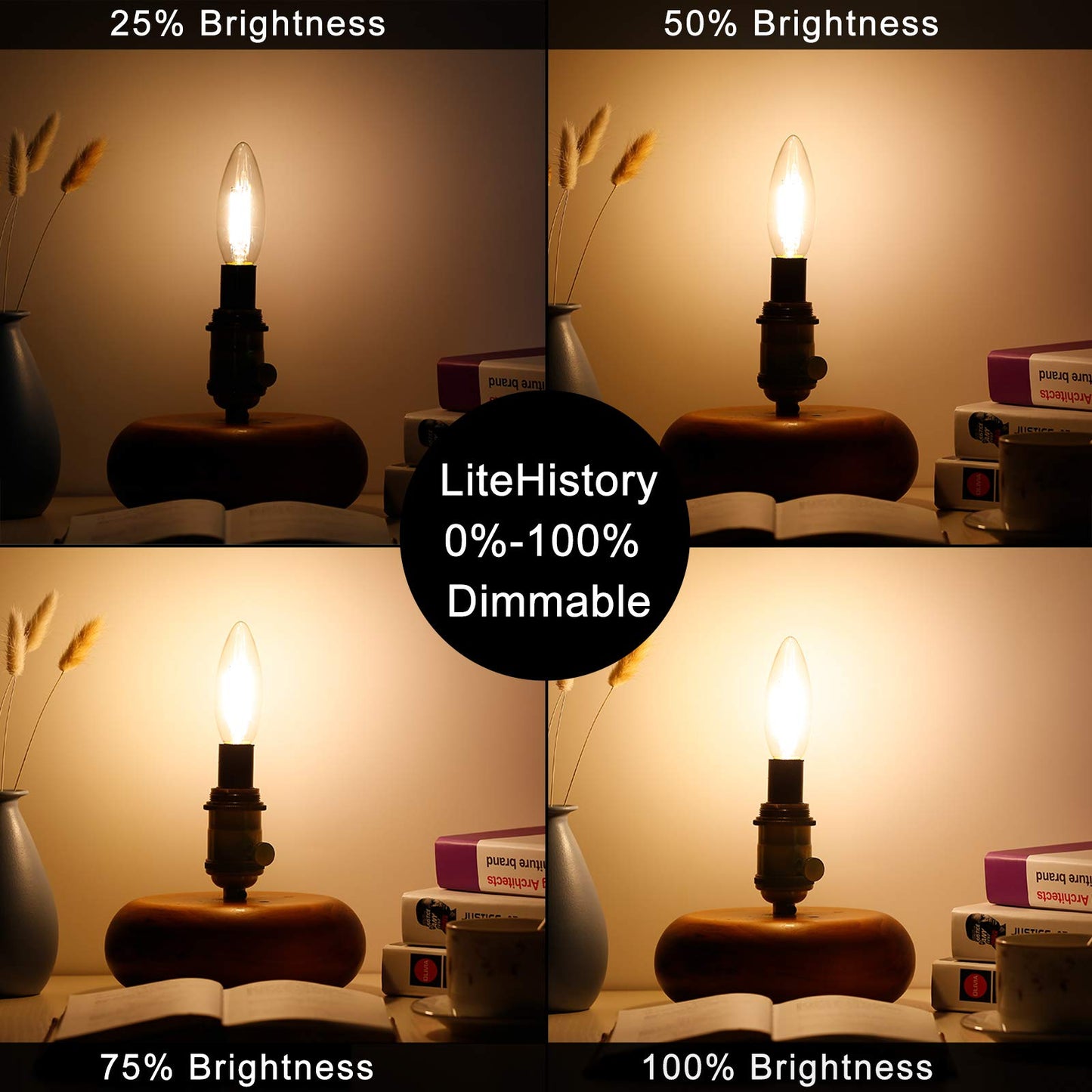 LiteHistory B10 Light Bulb,E12 Candelabra Bulb 60 watt,Dimmable,2700K Clear