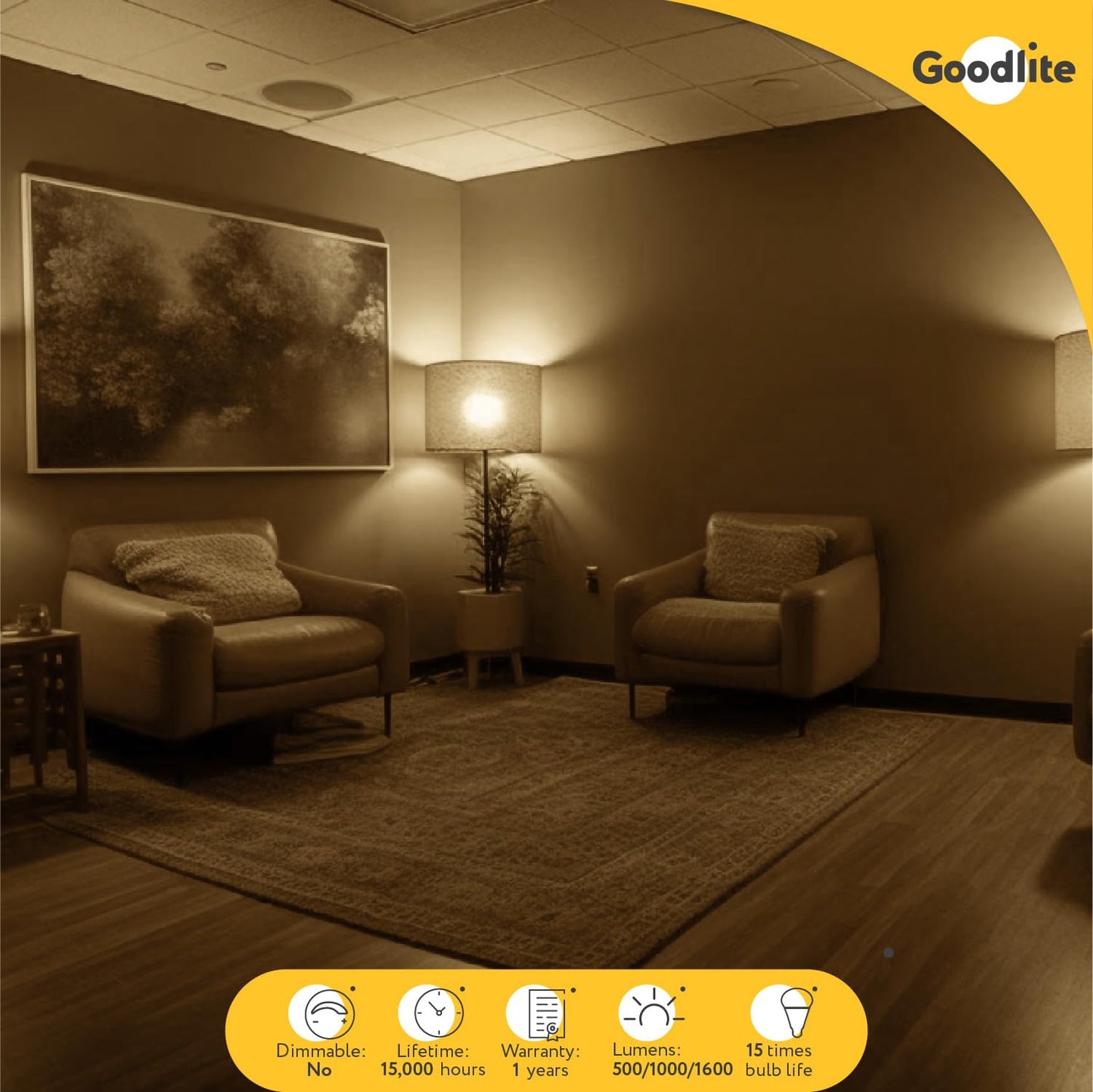 Goodlite G-19930 3-Way LED Bulb 50/75/100W Equivalent 500/1000/1600 Lumens, Soft White 2700k,E26 Base,