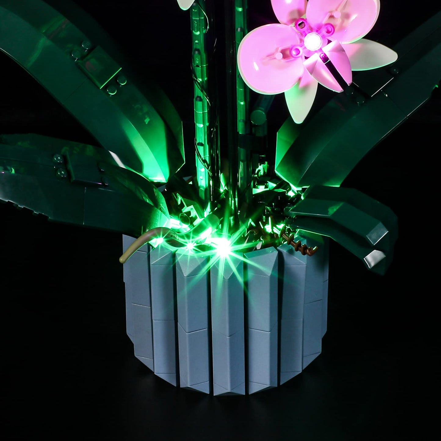LIGHTAILING Light for Lego-10311 Orchid - Led Lighting Kit Compatible with Lego Building Blocks Model - NOT Included The Model Set