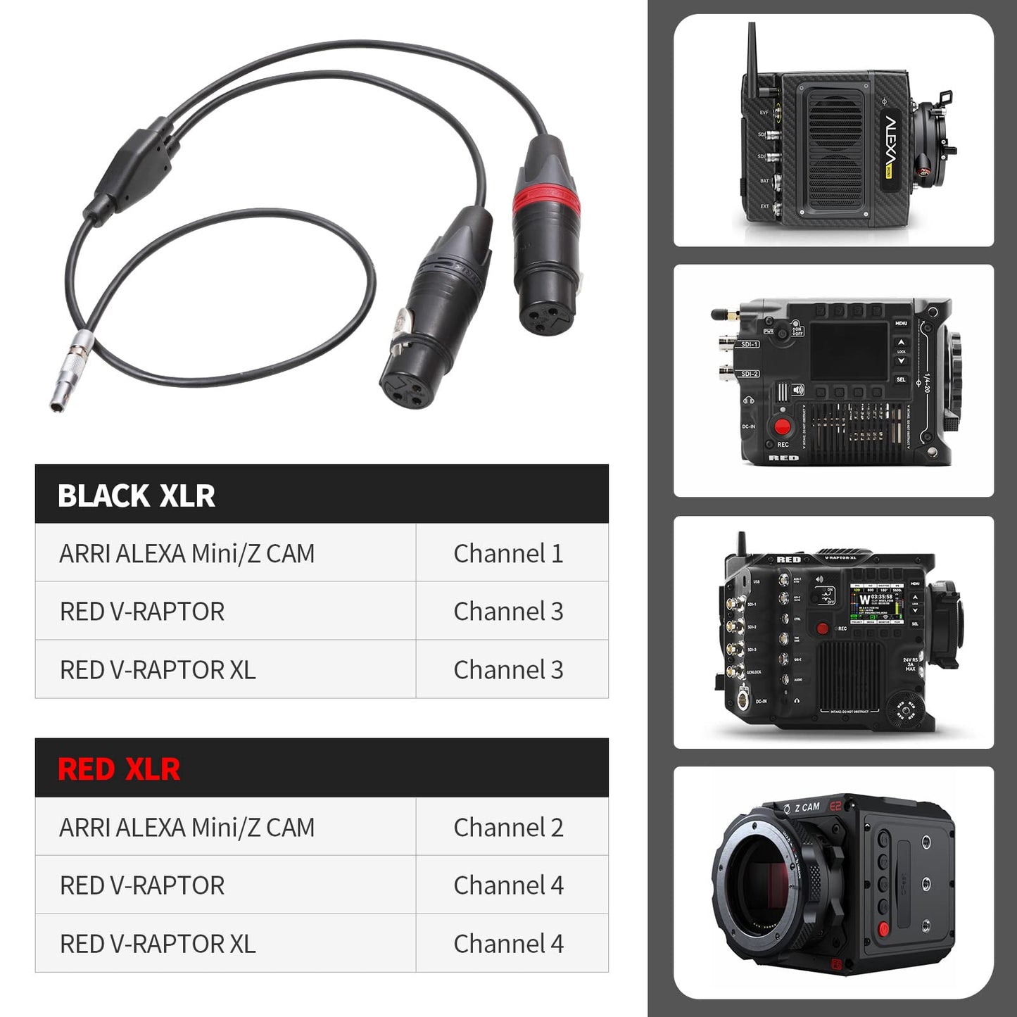 LANZYKU Dual XLR 3 Pin Female to 5 Pin Male Audio Input Cable for RED V-Raptor RED V-Raptor XL Arri Alexa Mini ZCAM -15 inches