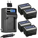 Kastar 4-Pack NP-QM71D Battery and LCD AC Charger Compatible with Sony NP-FM70, NP-FM71, NP-QM71, NP-FM90, NP-FM91, NP-QM91, NP-QM91D, MVC-CD300