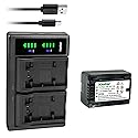 Kastar 1-Pack VW-VBT190 Battery and LTD2 USB Charger Compatible with Panasonic HC-VX870MGK, HC-VX870MGKK, HC-VX980GK, HC-VX980M, HC-VX981, HC-VX981K