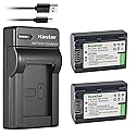 Kastar Battery (X2) & Slim USB Charger Replacement for Sony NP-FV50 NP-FV40 NP-FV30 and CX220 CX230 CX290 CX330 CX380 CX430V CX900 PJ200 PJ230 PJ340