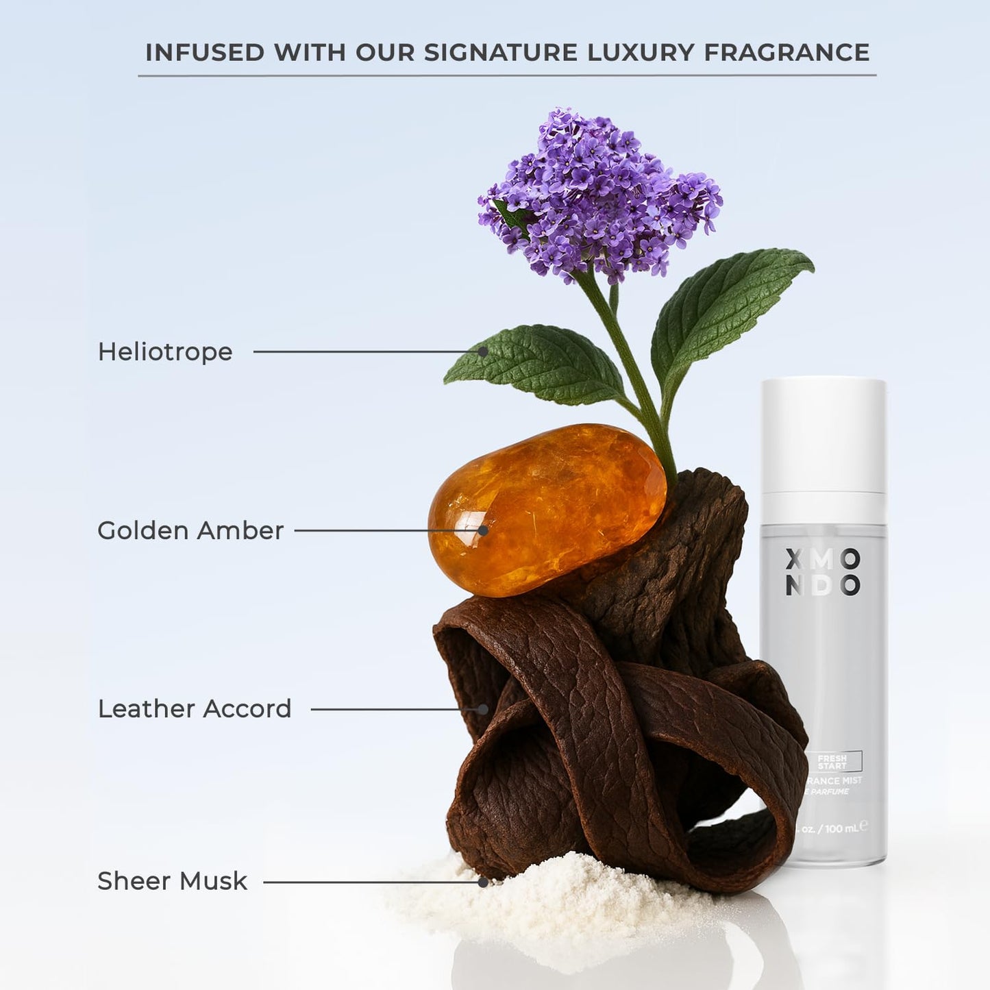 XMONDO Hair Wavetech Hydrating Wave Cream – Vegan Curl Cream for Wavy Hair with Coconut & Argan Oil, Definition, Hydration & Breakage Protection, 5 fl oz