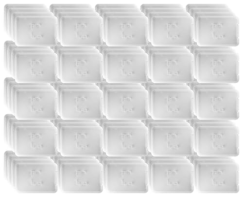 Everything But Stromboli 1-Slot MicroSD Plastic Jewel Case for MicroSD Card Only (100 Pack Bulk) Works with SanDisk, Kingston, Transcend, Samsung