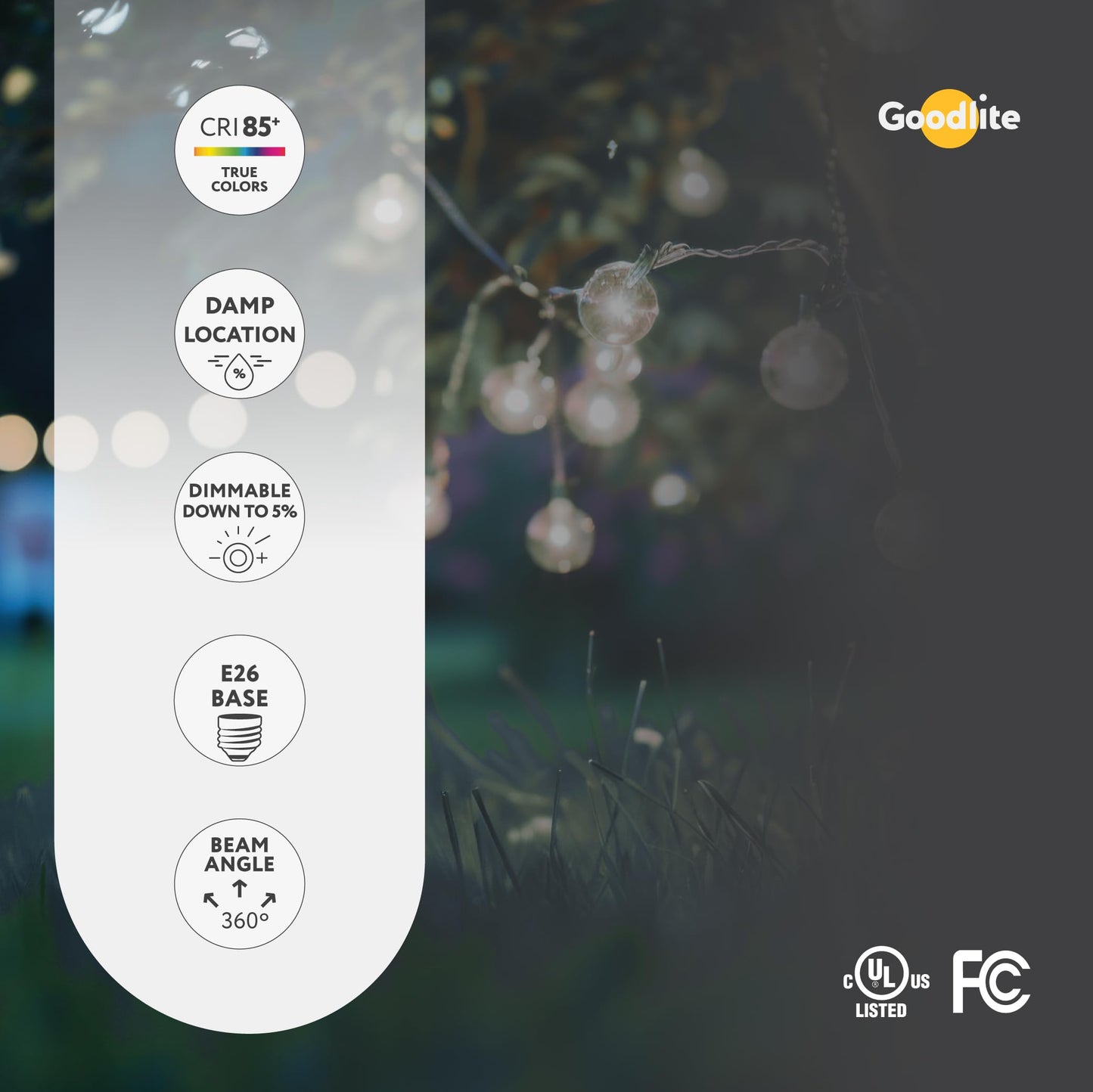Goodlite G-19751-A, Cool White 4100k G-19751 Edison LED 4.5 W Bulb E26 Base T10 Shape 60 W Equivalend 500 Lumens Filement, Dimmable