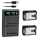 Kastar 2-Pack Battery and LTD2 USB Charger Replacement for JVC LY37166-002B, LY37166-002C, Everio GZ-E10, Everio GZ-E100, Everio GZ-E180, Everio