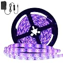 YGS-Tech Super Bright 24 Watts UV Black Light LED Strip, 16.4FT/5M 3528 300LEDs 395nm-405nm Waterproof IP65 Blacklight Night Fishing implicitly Party