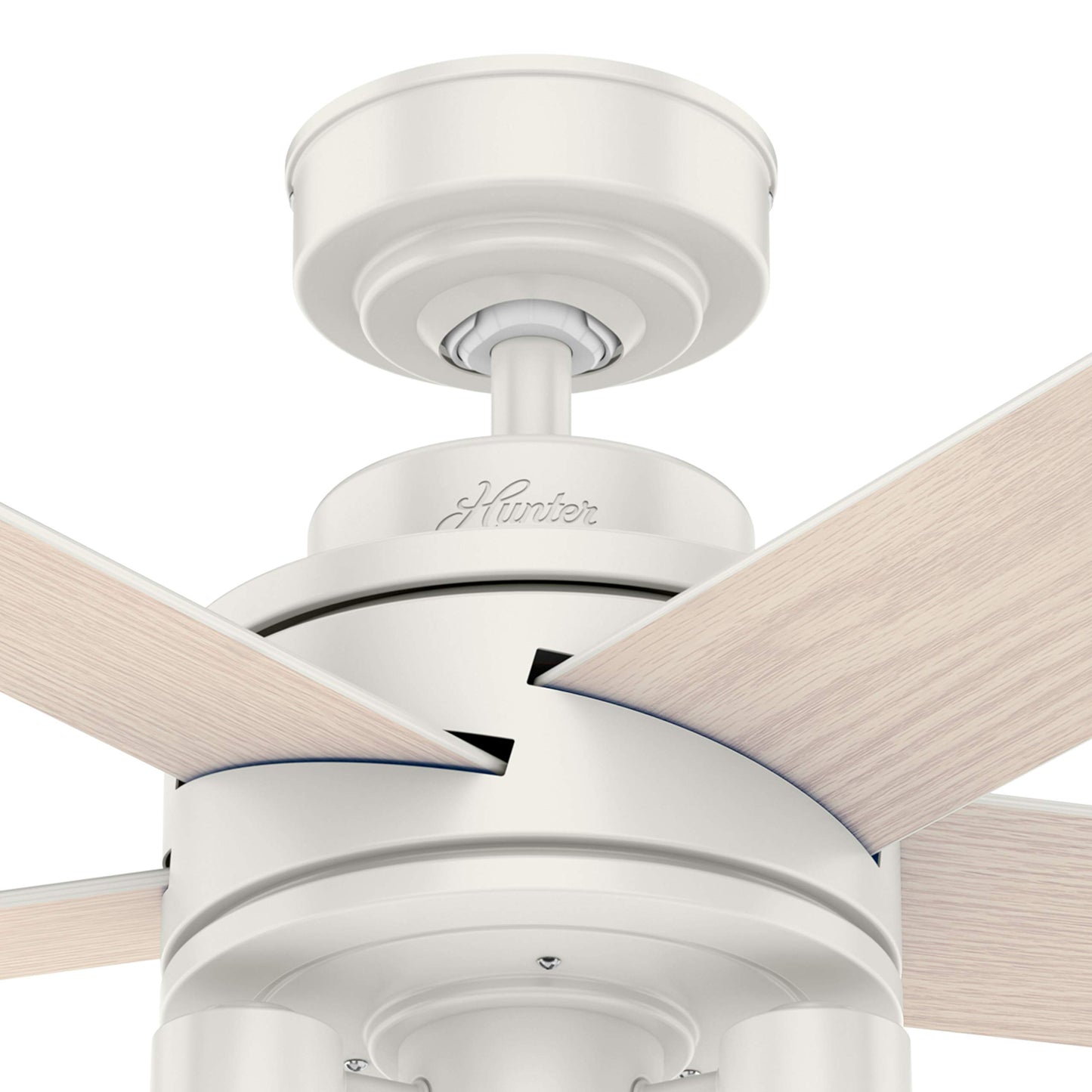 Hunter Fan 44 inch Contemporary Fresh White Indoor Ceiling Fan with Light Kit and Remote Control (Renewed)