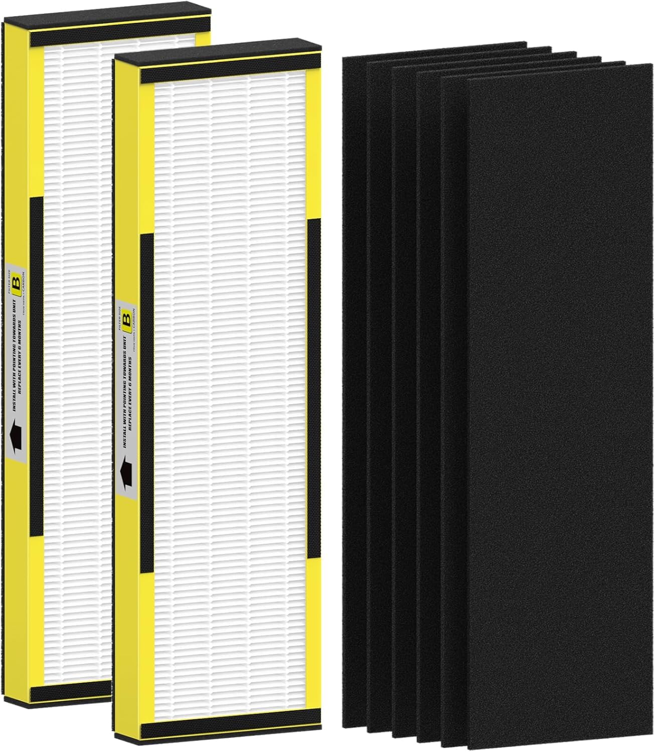 Air Purifier 2 Pack FLT4825 HEPA Replacement Filter B Compatible with AC4825 AC4825E AC4300 AC4800 AC4900 AC4850, 2 True HEPA Filters & 6 Activated