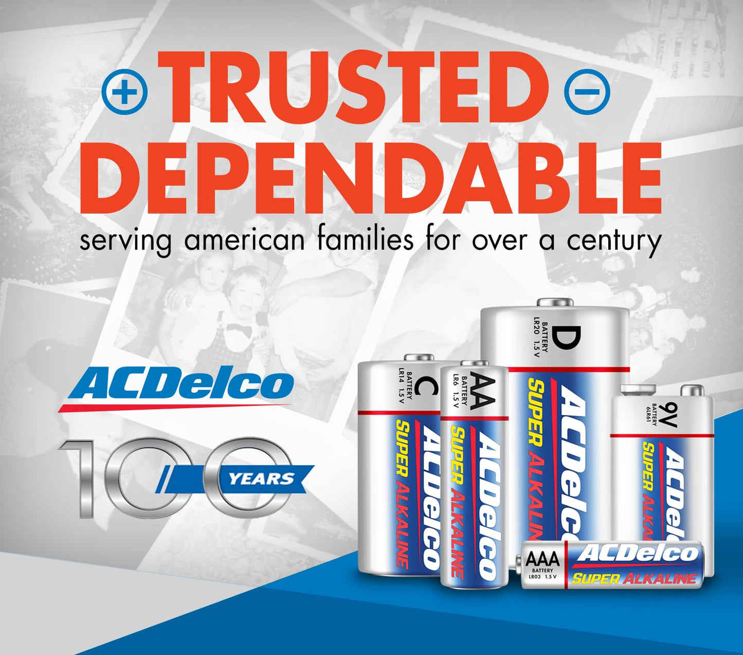 ACDelco 48-Count Triple AAA Batteries, Maximum Power Super Alkaline Battery for Home and Office, 10-Year Shelf Life, Reclosable Packaging