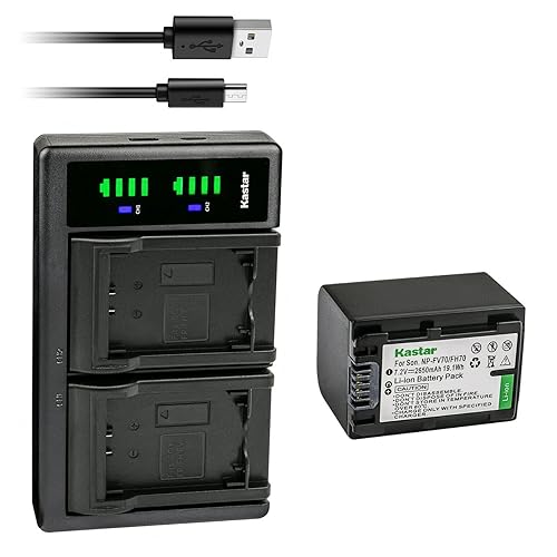 Kastar 1-Pack Battery and LTD2 USB Charger Replacement for Sony DEV-5, DEV-50, DEV-50V, FDR-AX100, FDR-AX100E, FDR-AX700, FDR-AX33, FDR-AX43