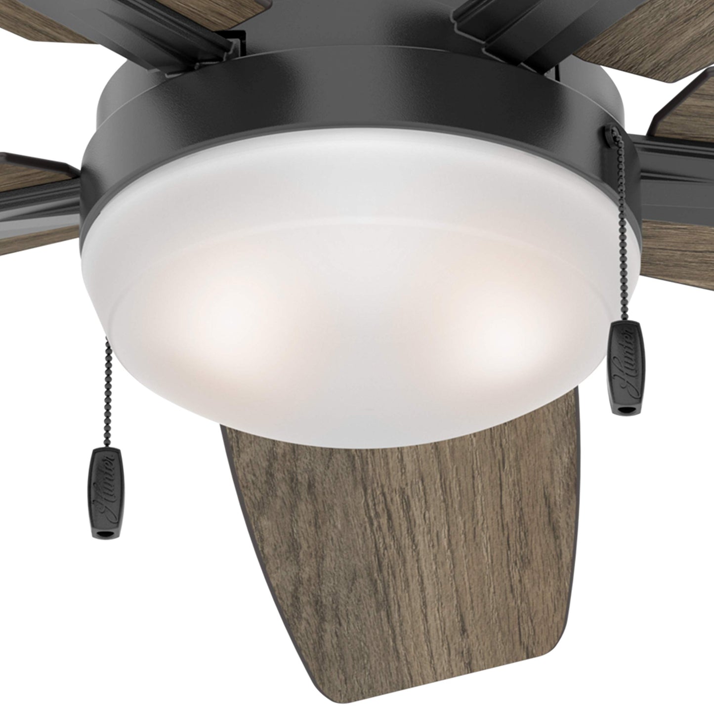 Hunter Fan 46 inch Contemporary Matte Black Indoor Ceiling Fan with Light Kit (Renewed)