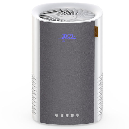 ECOWELL Air Purifiers for Bedroom, H13 HEPA Air Purifiers for Home Office Living Room, Air Filter Air Cleaner for Pet Dander Odors Smoke Pollen Dust