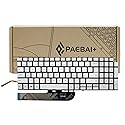 PAEBAI+ Replacement Laptop Keyboard Backlight for Dell inspiron 15 3501 3502 3505 5501 5502 5508 5584 5590 5593 5594 5598, inspiron 15 7500 7501 7590