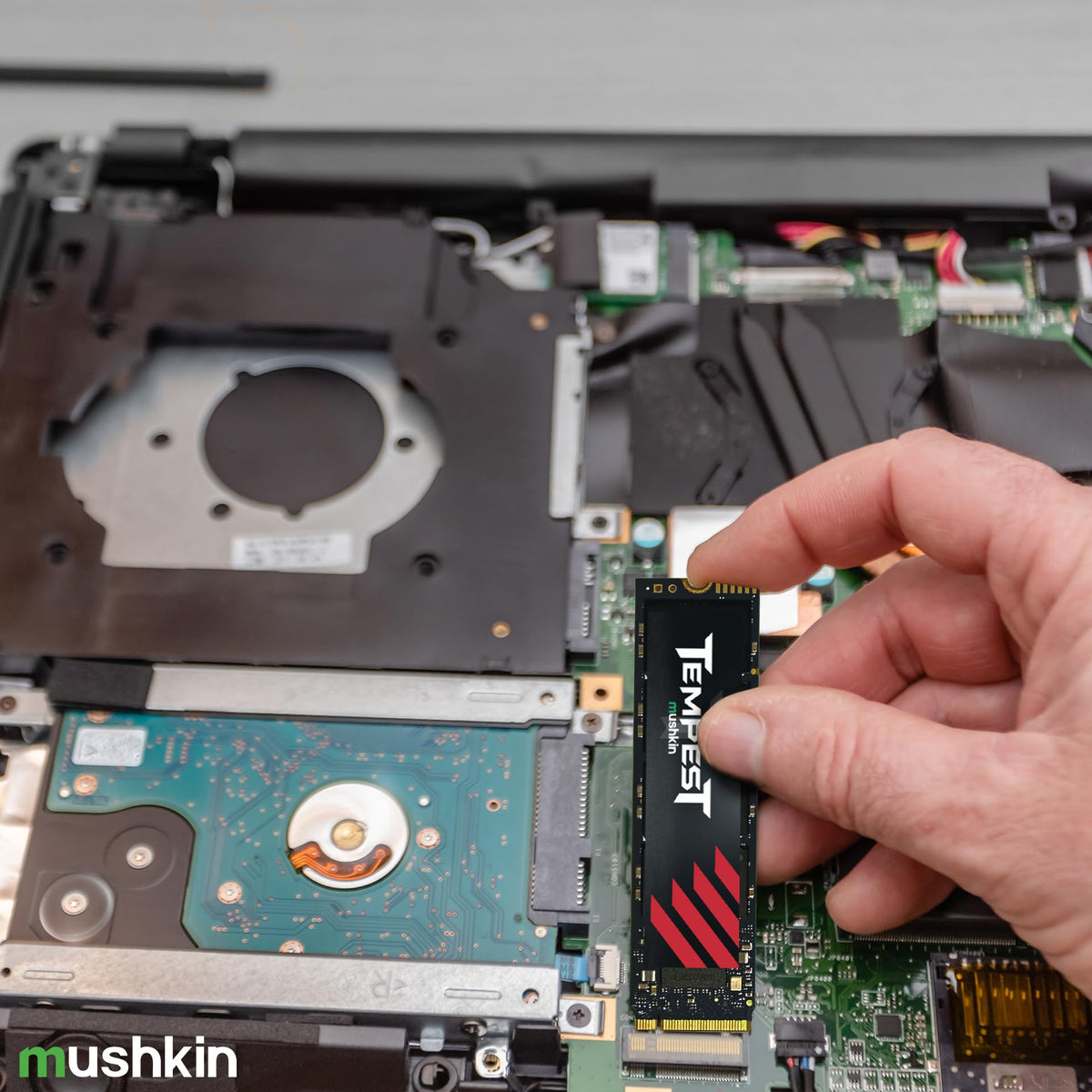 Mushkin Tempest - 256GB PCIe Gen3 x4 NVMe 1.4 - M.2 (2280) Internal Solid State Drive (SSD) - 3D NAND Flash - (MKNSSDTS256GB-D8)