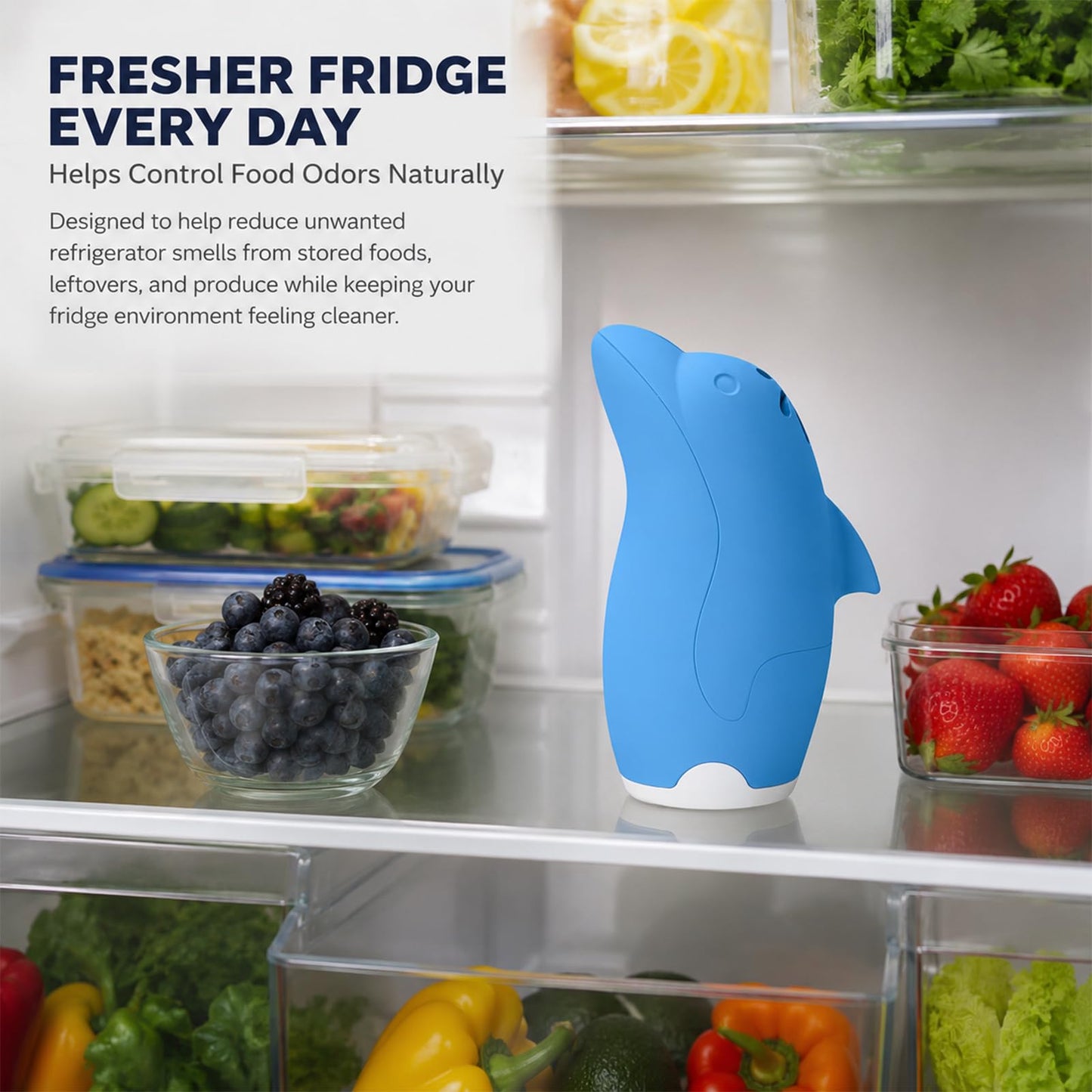 Asltw Refrigerator Deodorizer, Refillable Odor Absorber Dolphin Design
