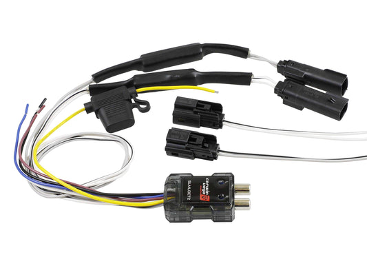 Cerwin Vega RPM Harley Davidson 2 Channel Line Output Converter Harness Kit- Motorcycle Specific Wiring Solution, Enhanced Audio Quality, Easy Install CHDLOC2