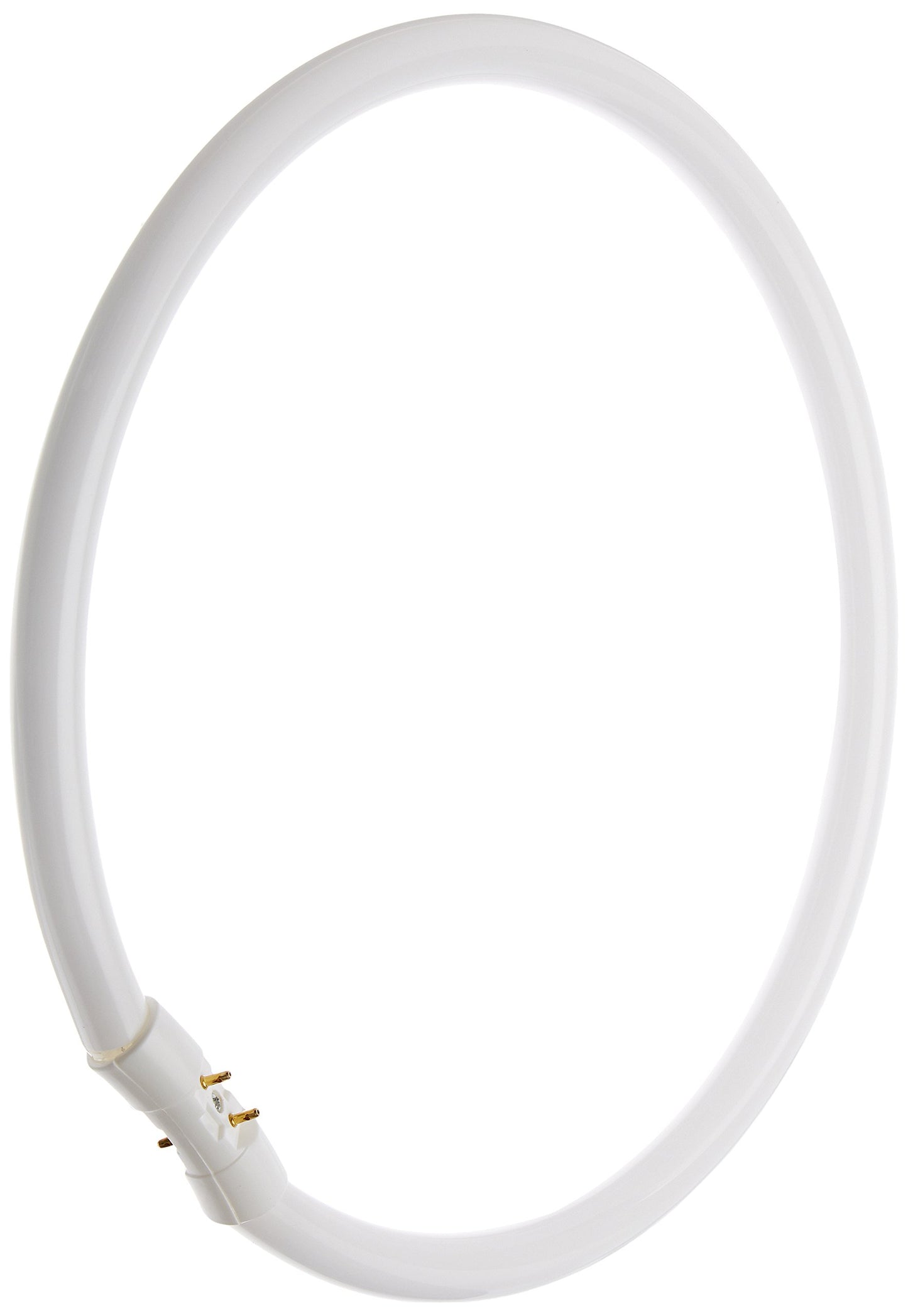 Bulbrite FC12T5 835 40-Watt Circline Fluorescent T5 Bulb, 800 Series, 3500-Kelvin, 2GX13 base, 12-Inch Diameter