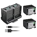 Kastar 2-Pack Battery and Quadruple Charger Compatible with Canon BP-820 BP820, BP-828 BP828 Battery, CG-800 CG800 Charger, Canon XA60, Canon XA65