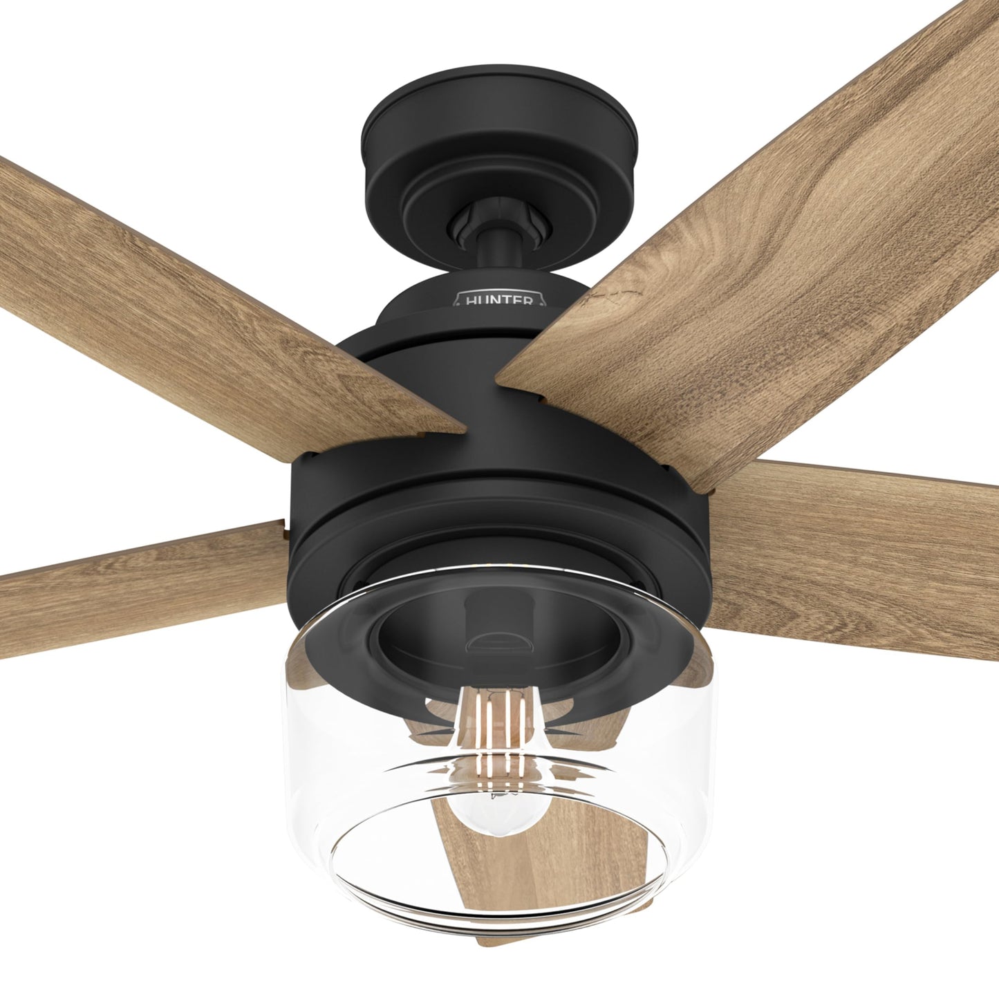 Hunter Fan 44 inch Black Indoor Ceiling Fan with Lights and Remote Control for Bedroom, Living Room/Family Room, Dining Room, Kitchen, Office