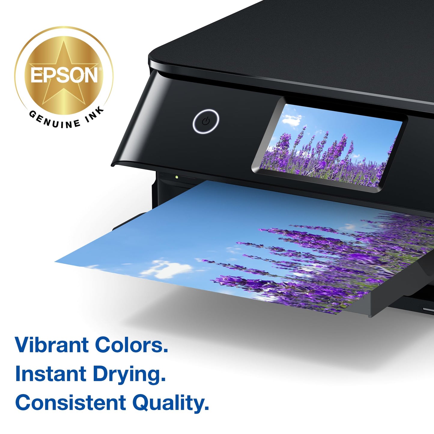 Epson 340 Claria Photo HD Ink Standard Capacity Black Cartridge (T340120-S) Works with Expression Photo XP-8800