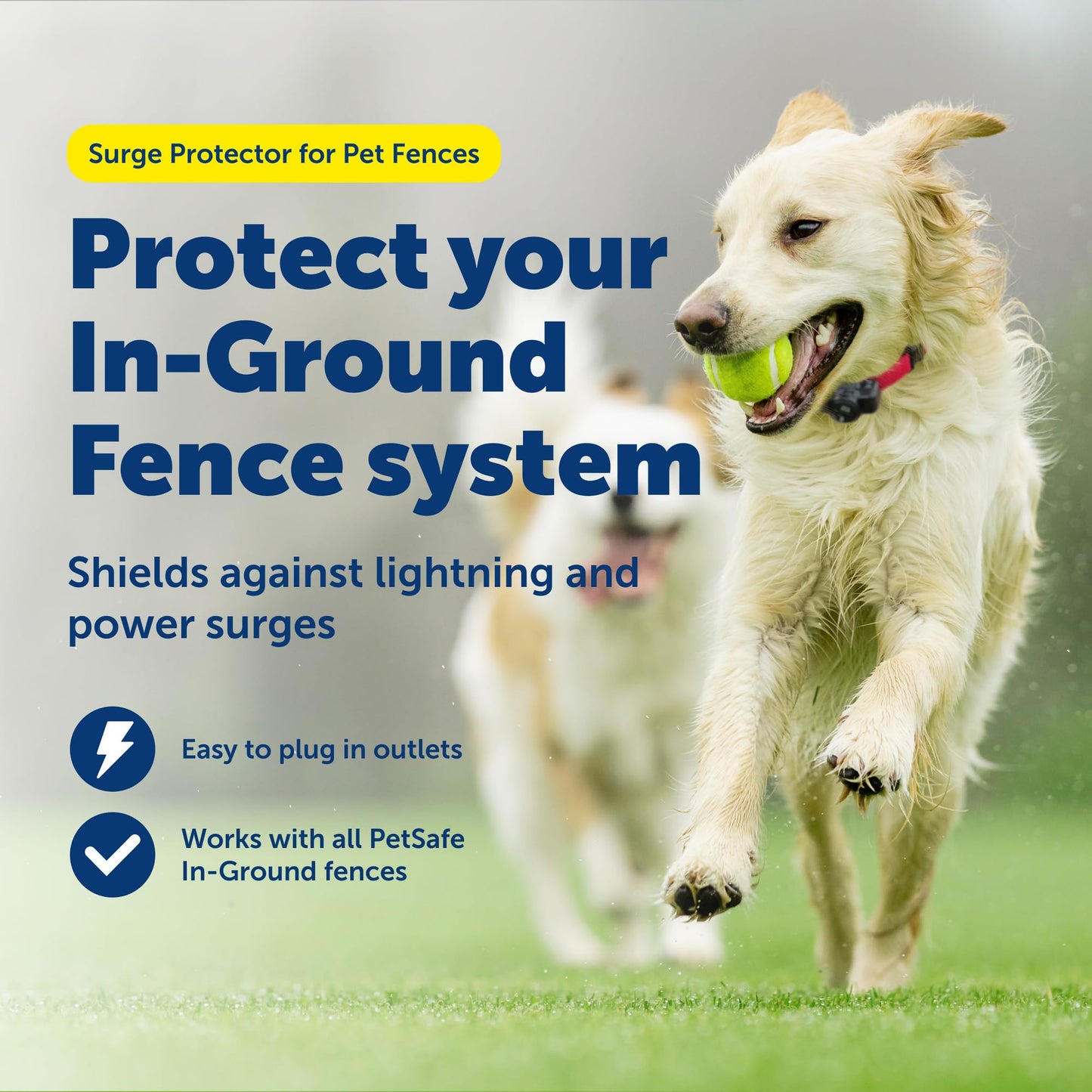 PetSafe Surge Protector for Pet Fences - Surge Protection Device - Electrical Protector - Durable Pet Fence Kit - Easy Installation - Fence Guard