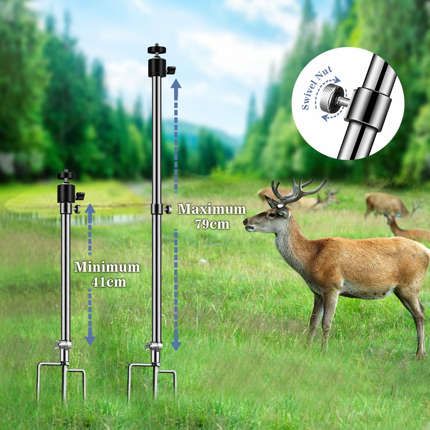 Stedan 1 Pack Trail & Game Camera Stand Thick Foldable Stainless Steel Bracket 360° Adjustable Universal Thread Connection 1/4''-20 (6 mm) for Trail