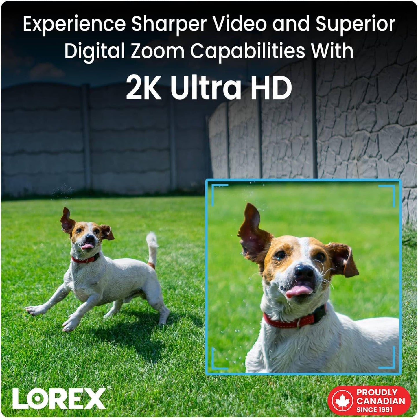 Lorex Pan & Tilt Indoor Wi-Fi Security Camera | 360° Pan & Tilt | Person Detection | Two-Way Talk | Person Detection | IR Night Vision | No Monthly