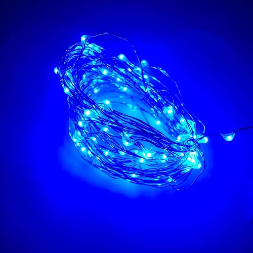 Lesera Ltd. (Pack of 2) 100 LED Lights Over 16.4 Feet, Adjustable Brightness, Fairy Lights (Blue (Pack of 2))