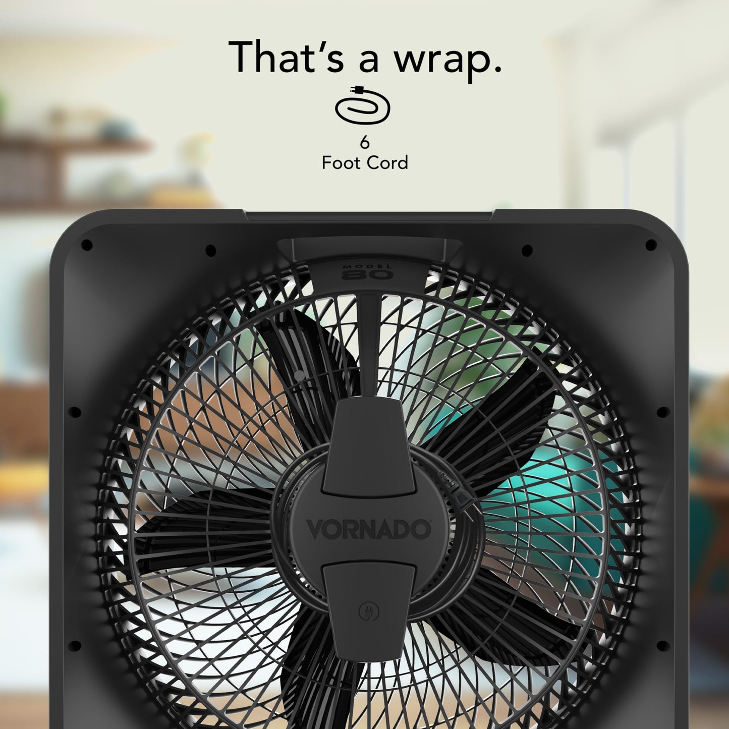 Vornado Model 80 High Velocity Box Fan, 20 Inch, 5 Speeds, Powerful Airflow