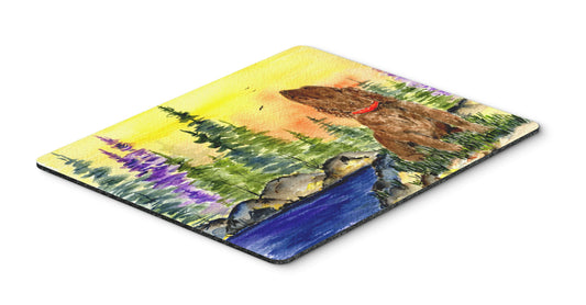 Caroline's Treasures SS8509MP American Water Spaniel Mouse Pad, Hot Pad or Trivet for Home Office Gaming Working Computers Laptop Mouse Mat,Washable