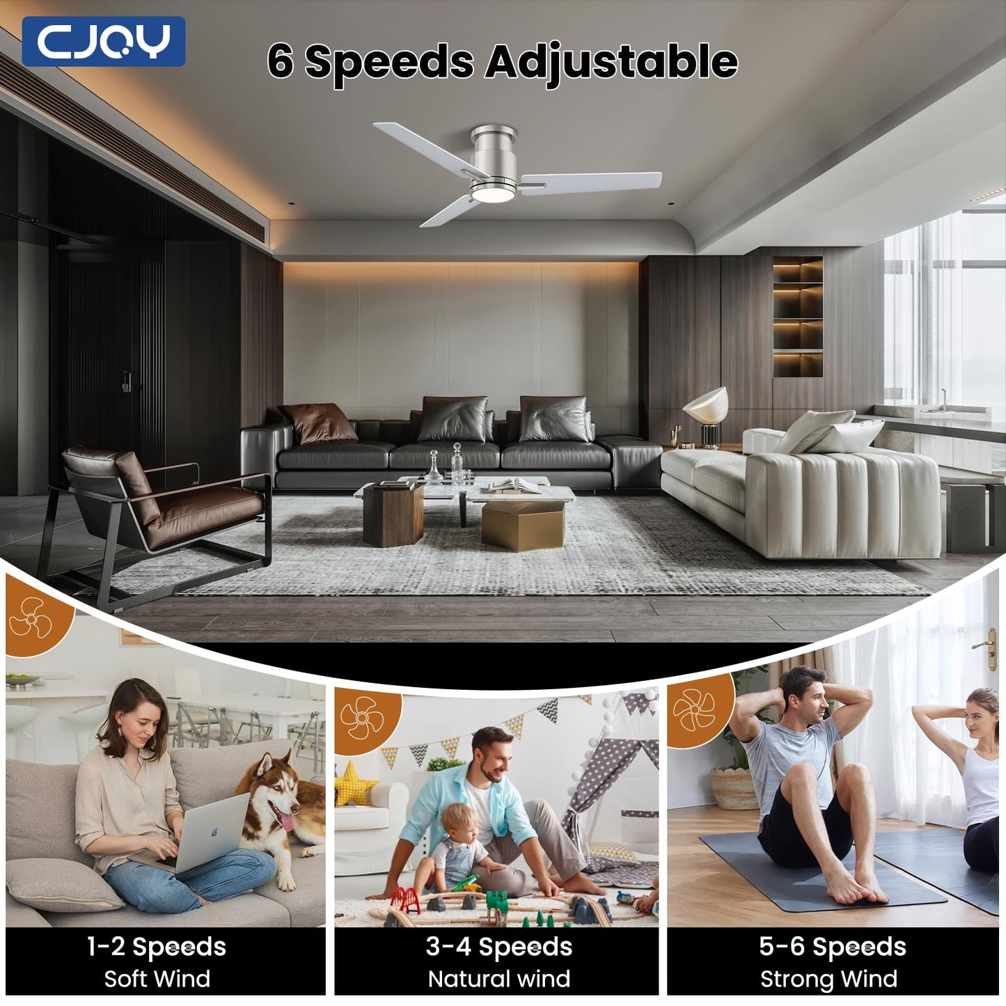 CJOY 48 Inch Brushed Nicke Ceiling Fan with Light, Remote, Reversible DC