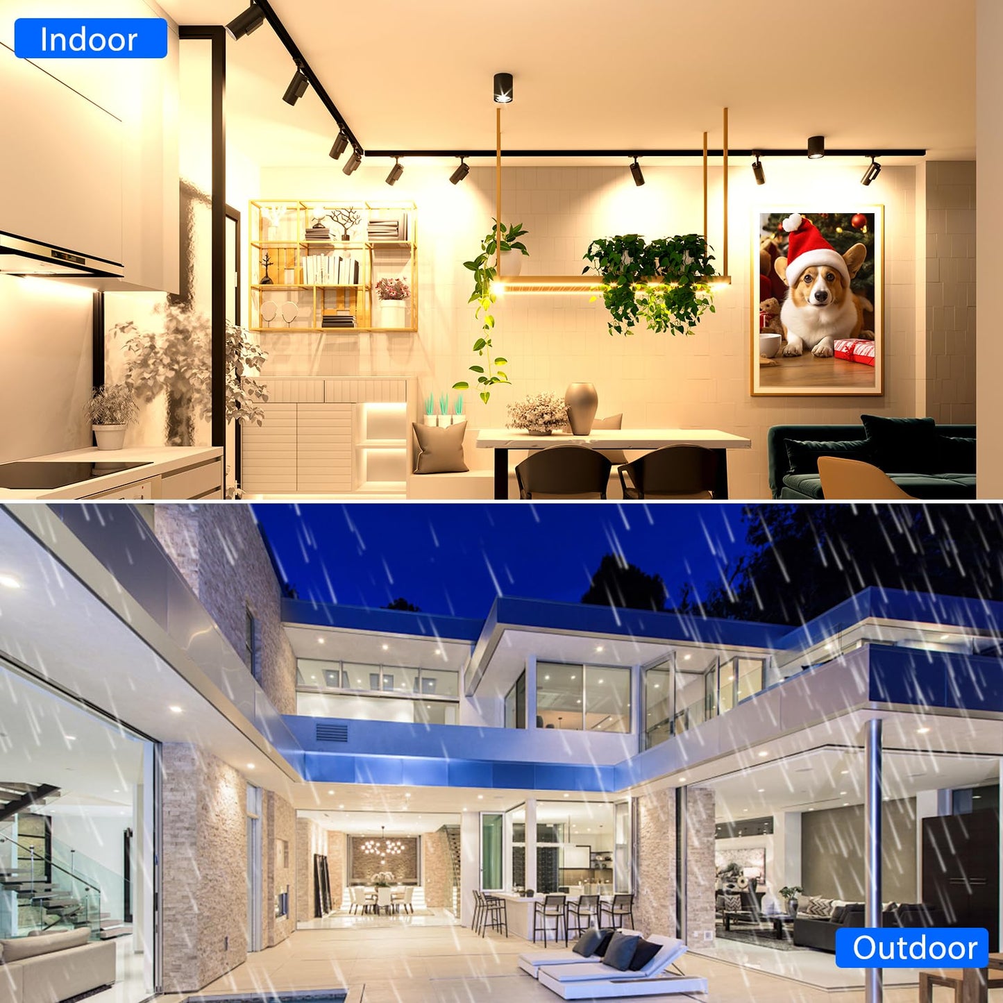 Energetic 10 Pack PAR20 LED Bulbs 50W Equivalent 5W Dimmable, 5000K Daylight 460 Lumen E26 Medium Base Indoor Outdoor Spot Light Bulb Flood Light Bulb