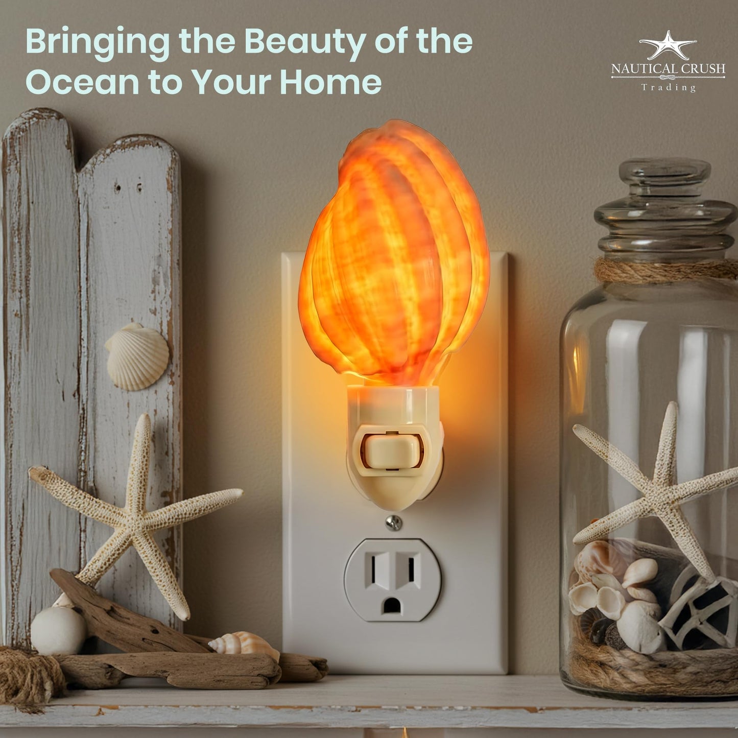 Nautical Crush Trading Seashell Night Light - Beach Night Light with Harpa Shell Light for Bathroom - Sea Shell Lamp - Seashell Lamp Plug Into Wall